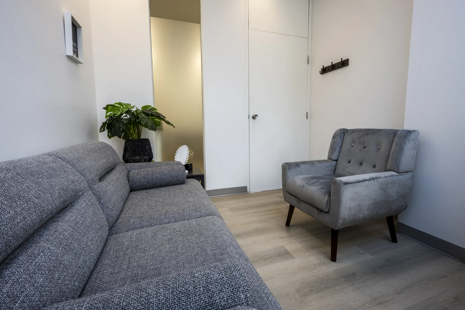 Therapy room with a grey sofa, a grey velvet armchair and a monstera plant
